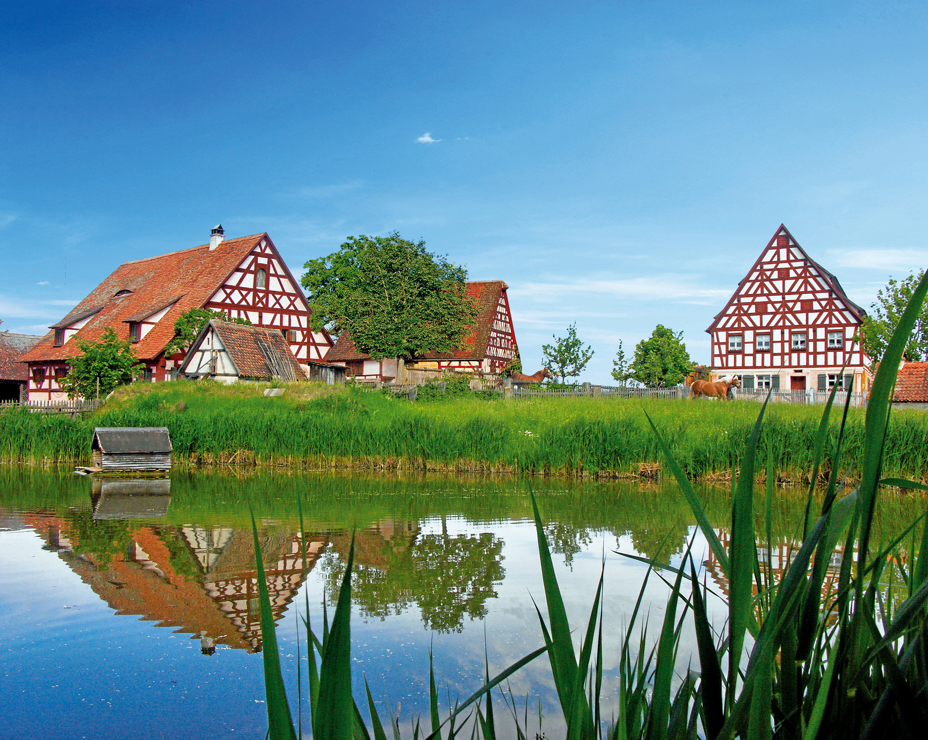 Das Bid zeigt einen BLick auf verschiedene Häuser des Fränkischen Freilandmuseums Bad Windsheim, davor ein schilfbewachsener Weiher