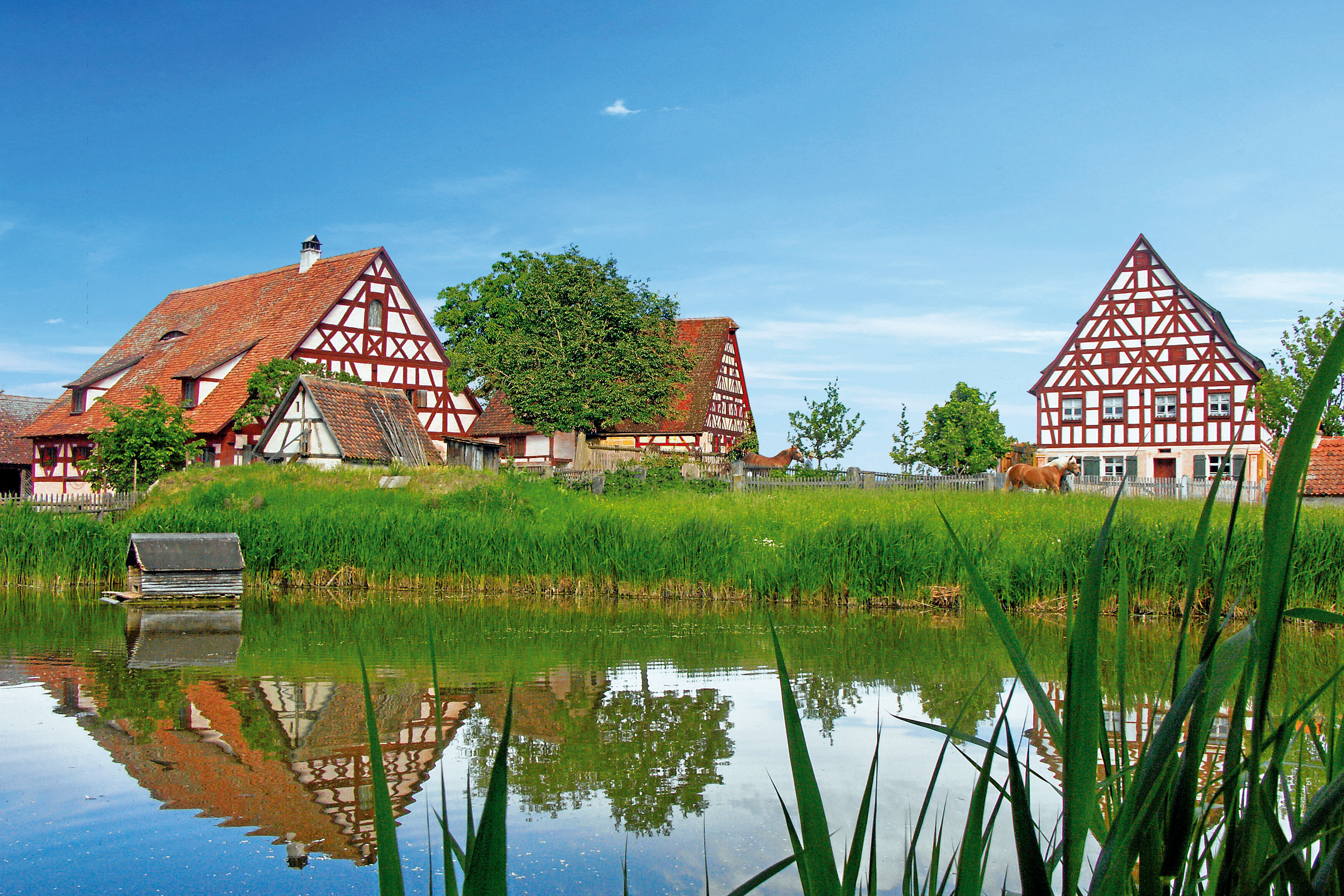 Das Bid zeigt einen BLick auf verschiedene Häuser des Fränkischen Freilandmuseums Bad Windsheim, davor ein schilfbewachsener Weiher